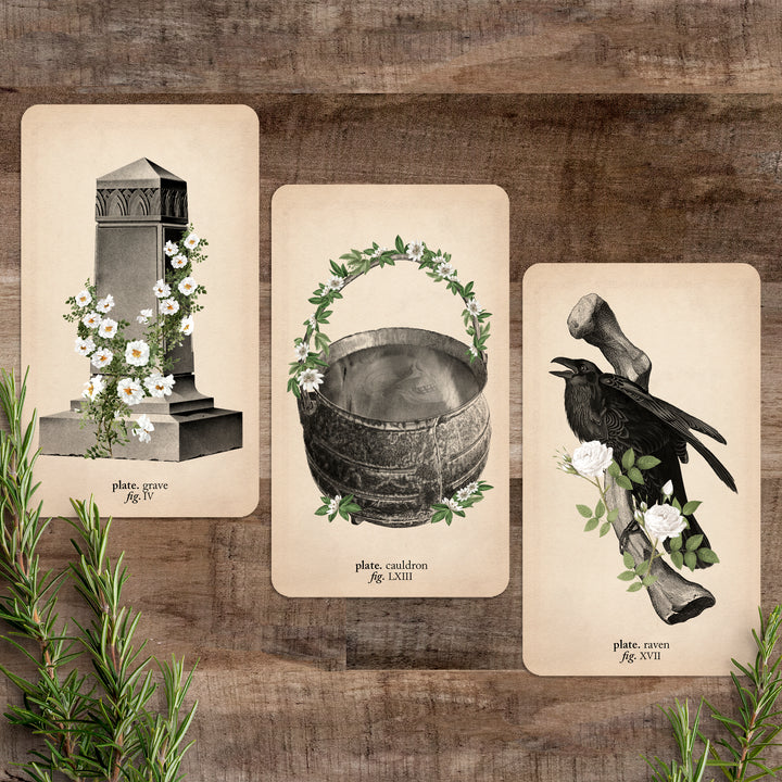 cards from the deck on a brown wood background