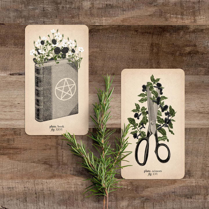 memento mori oracle deck cards