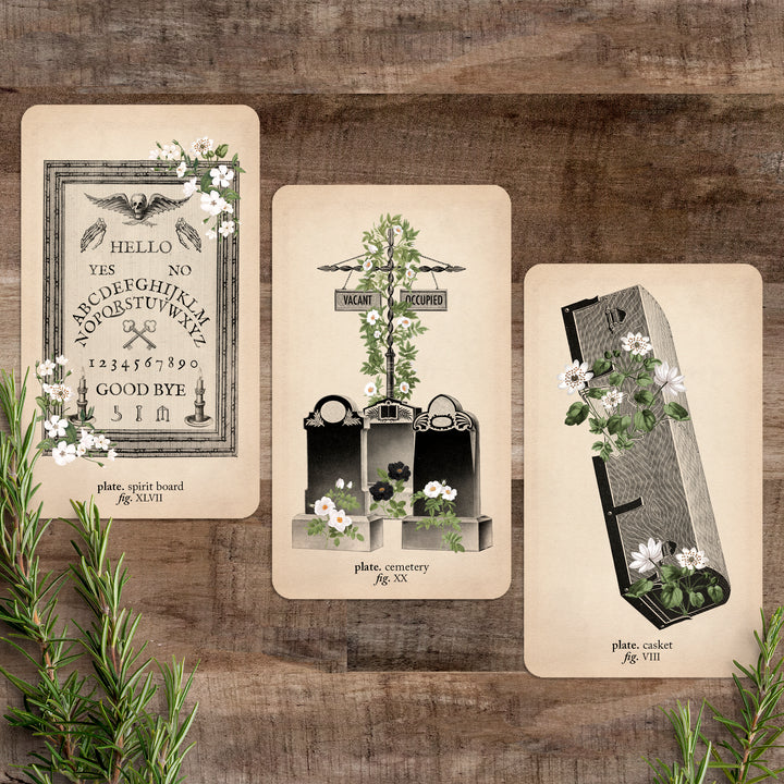 some cards faces from the deck on a brown background with rosemary sprigs
